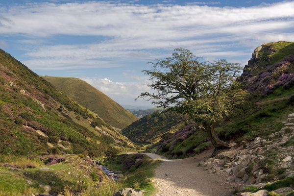Carding Mill Valley, Shropshire