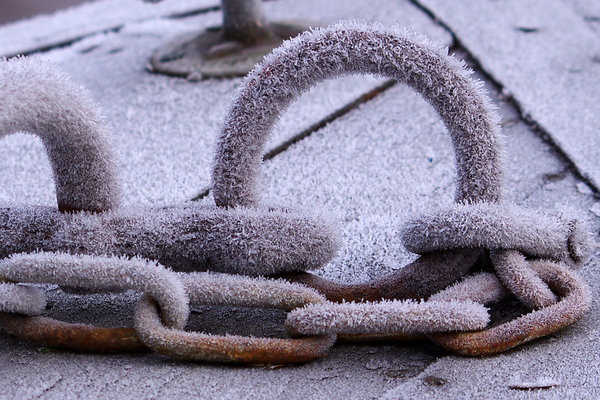Frosty for Weatherwax