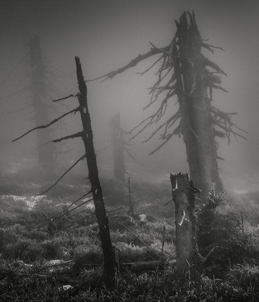 Mordor