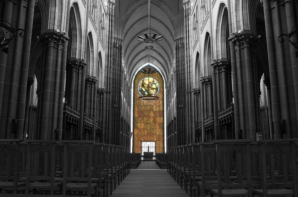 Notre-Dame de la Treille (3)