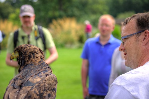 Our Feathered Friends