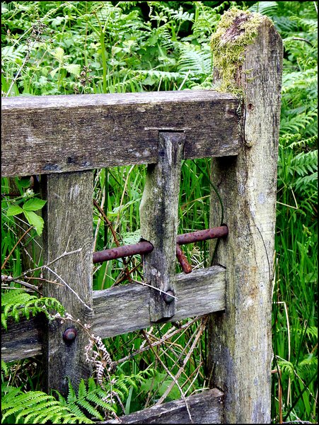 Rustic Gate
