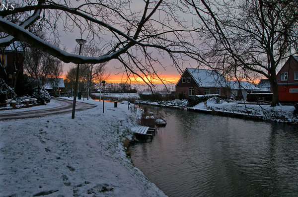 The Winter