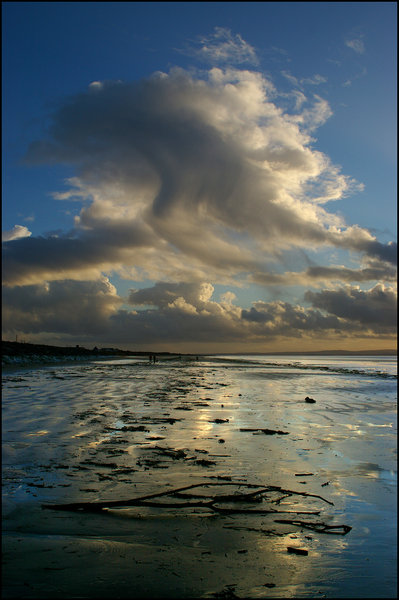 Tidal Wrack