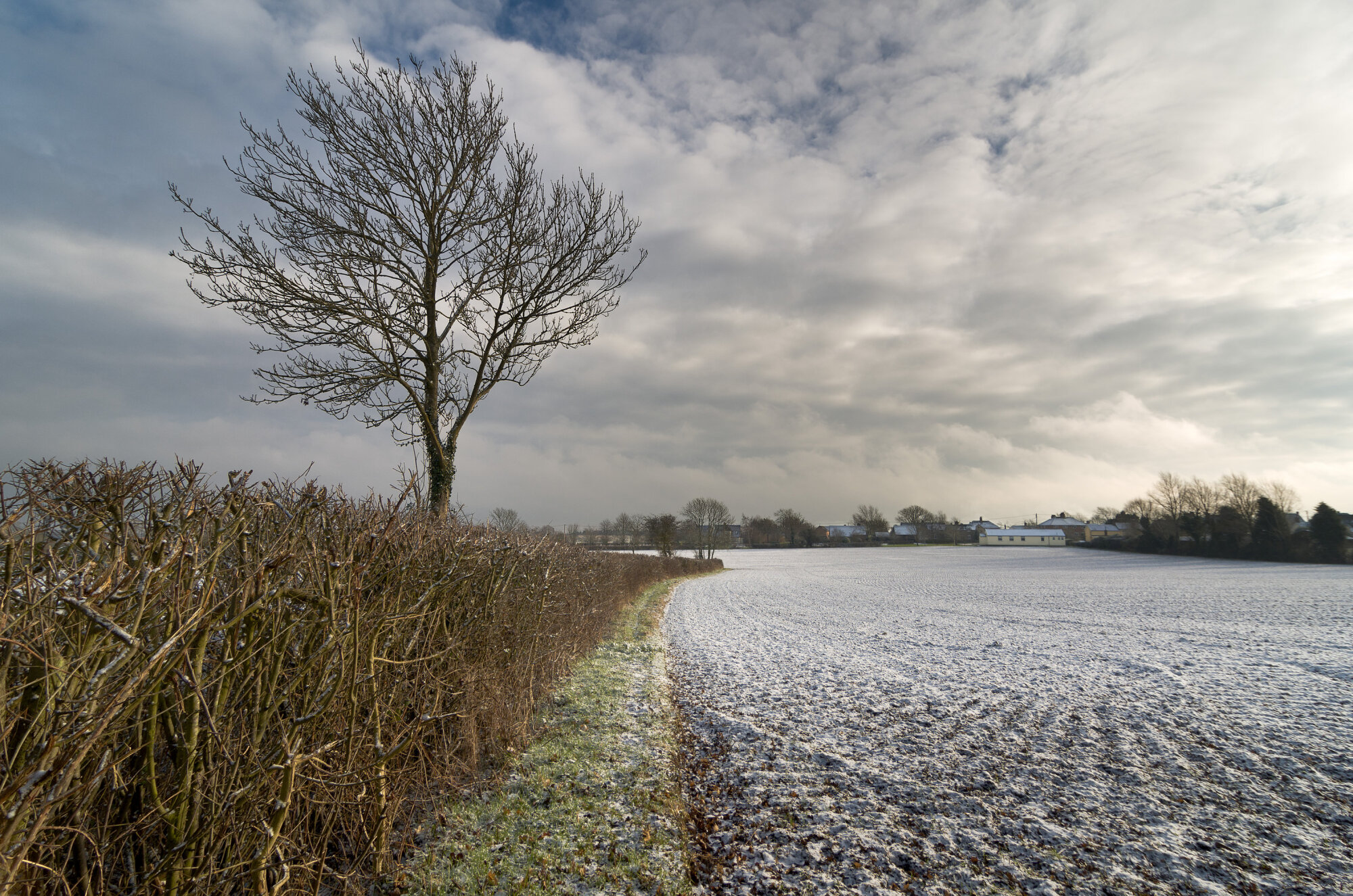 First dusting