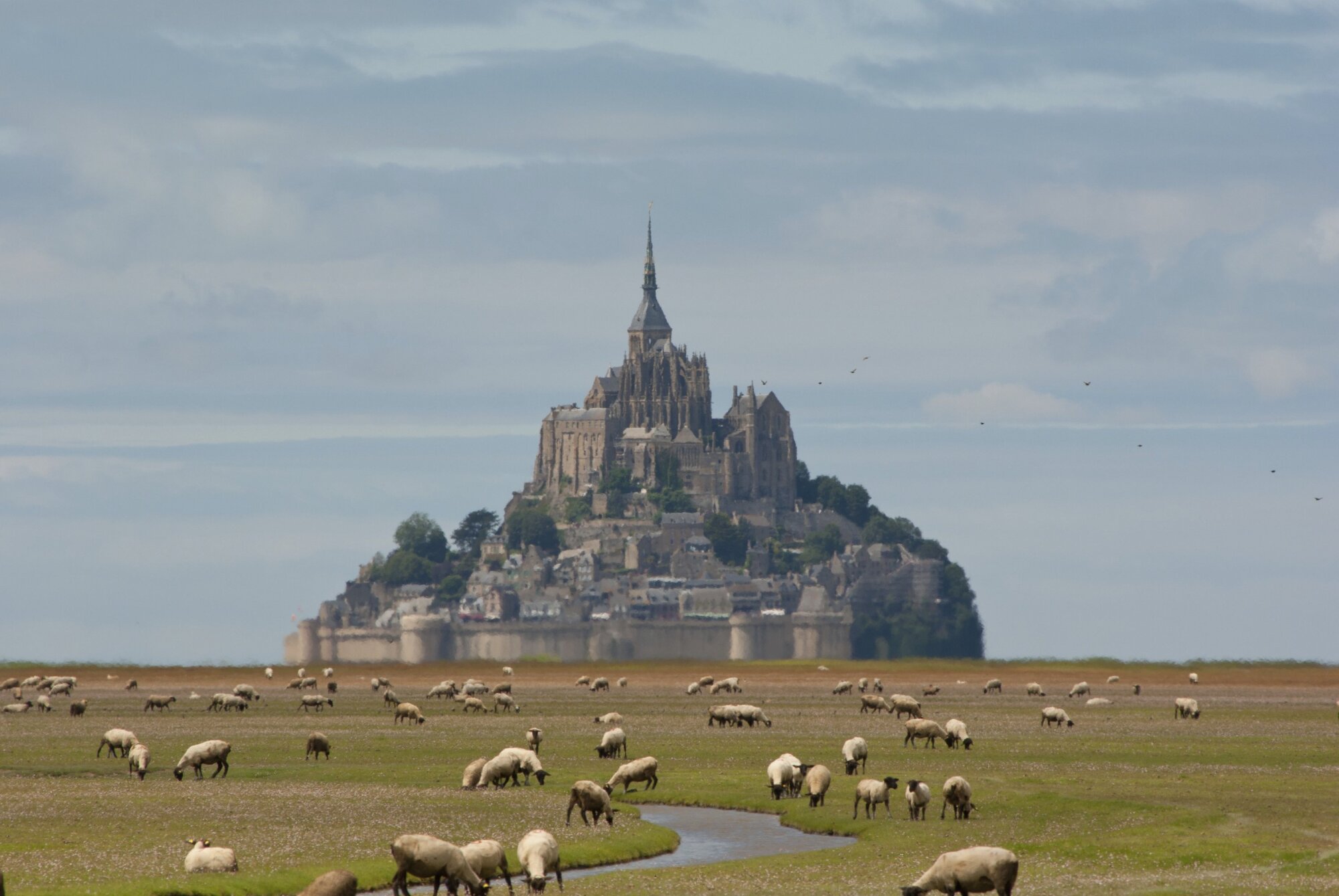 Mont St Michel