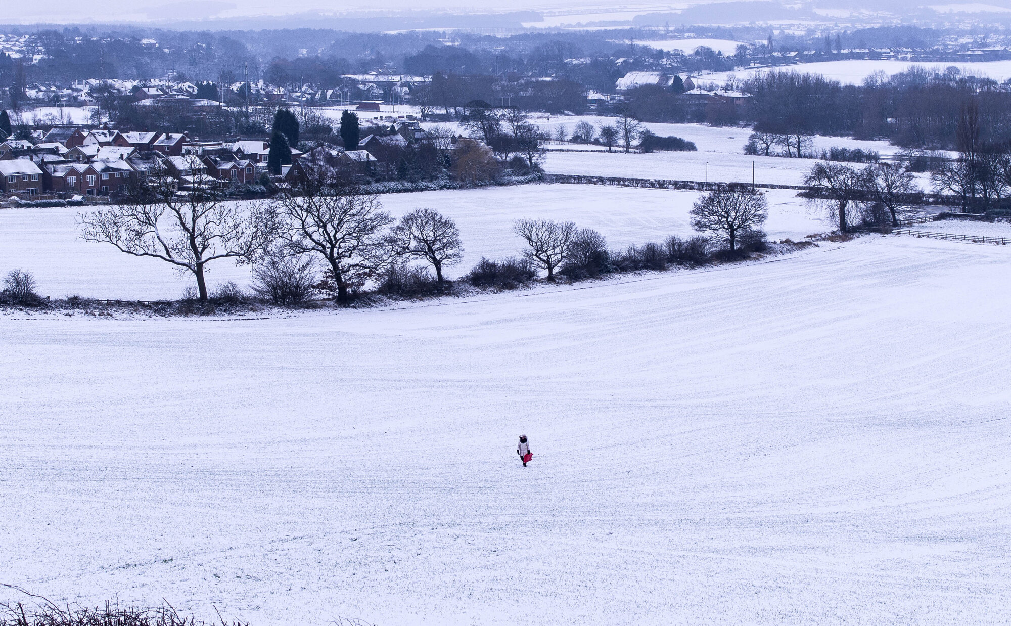 Snowy field
