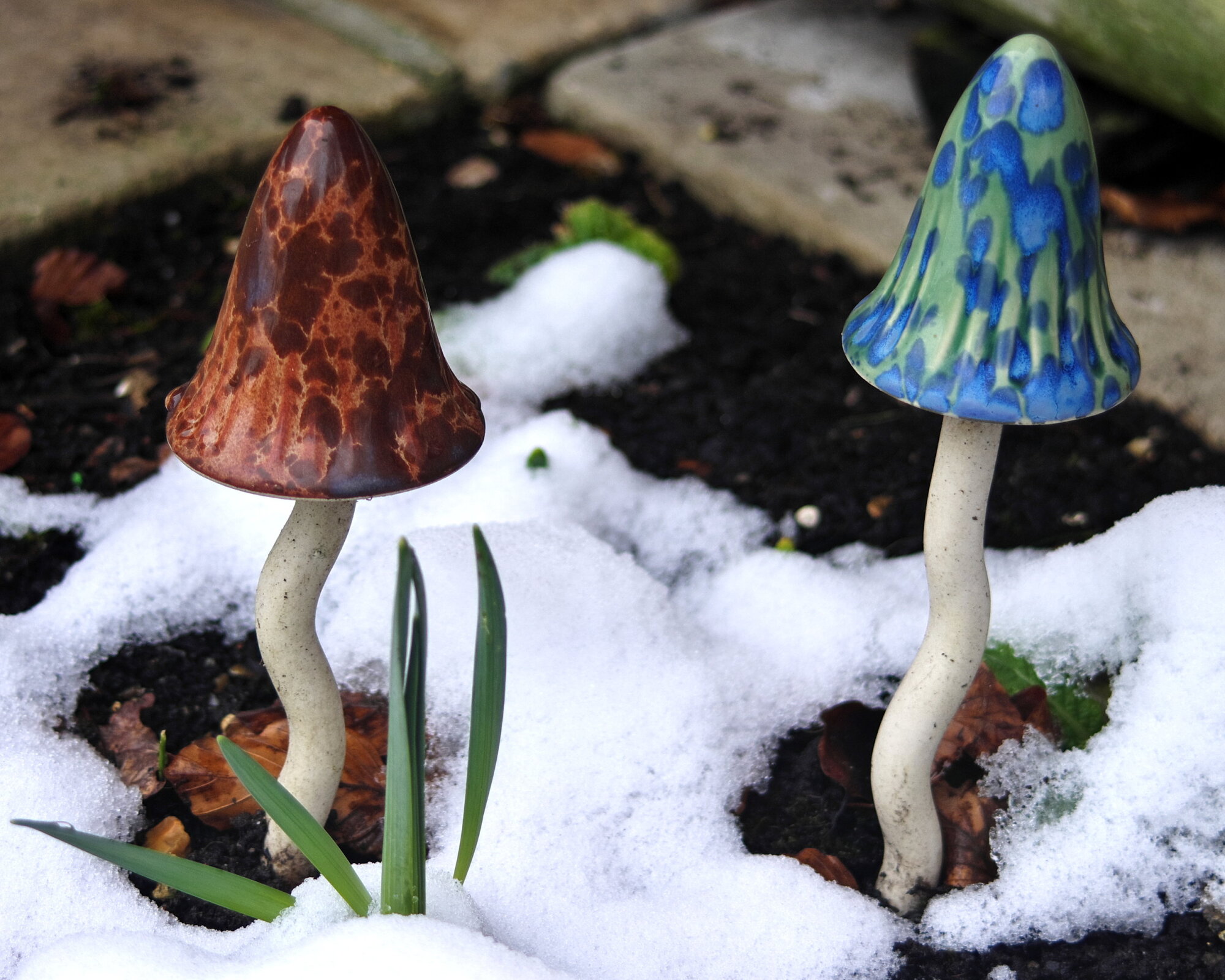 'Toadstools in the Snow'
