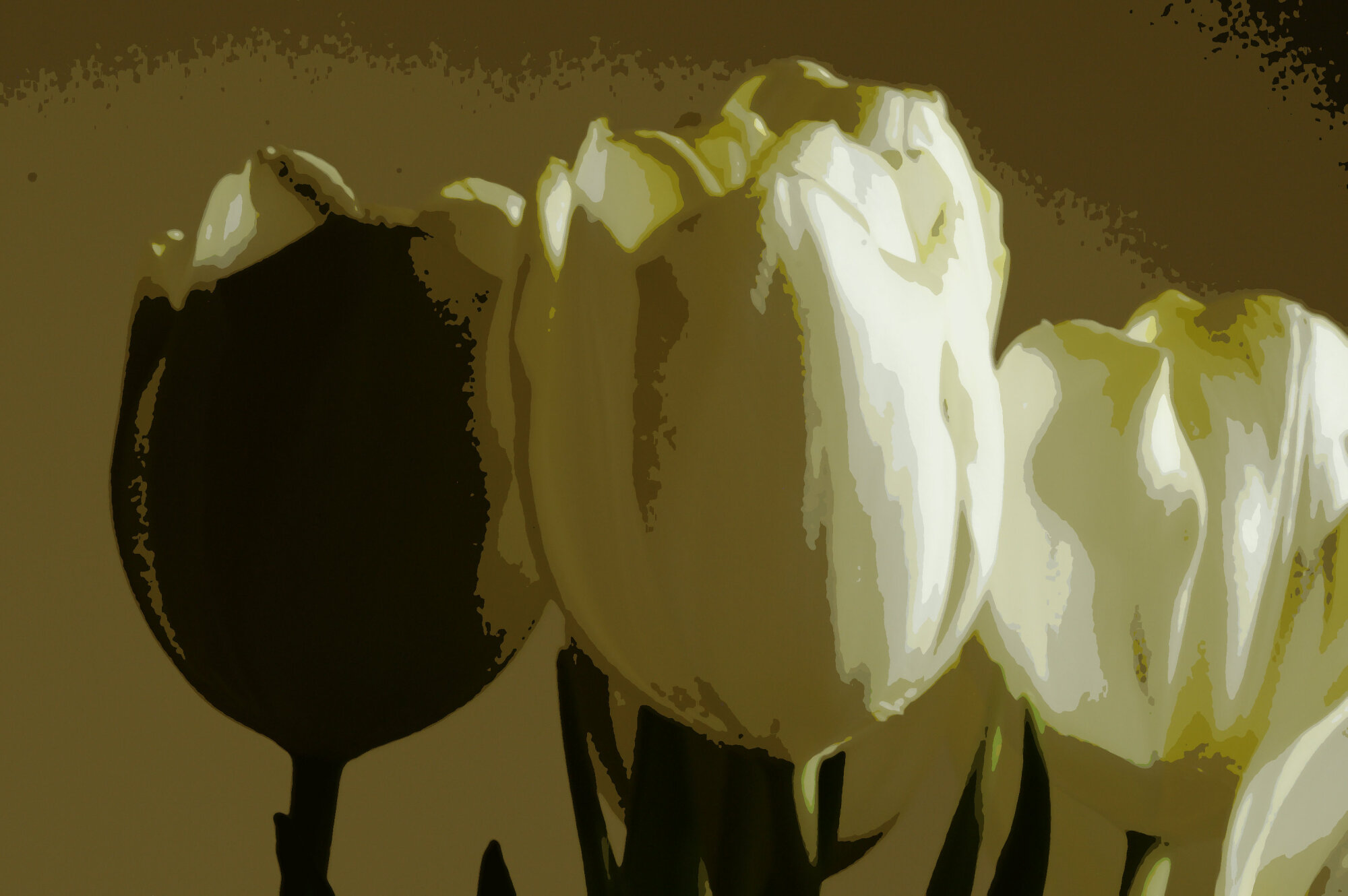 Tulips edited #2
