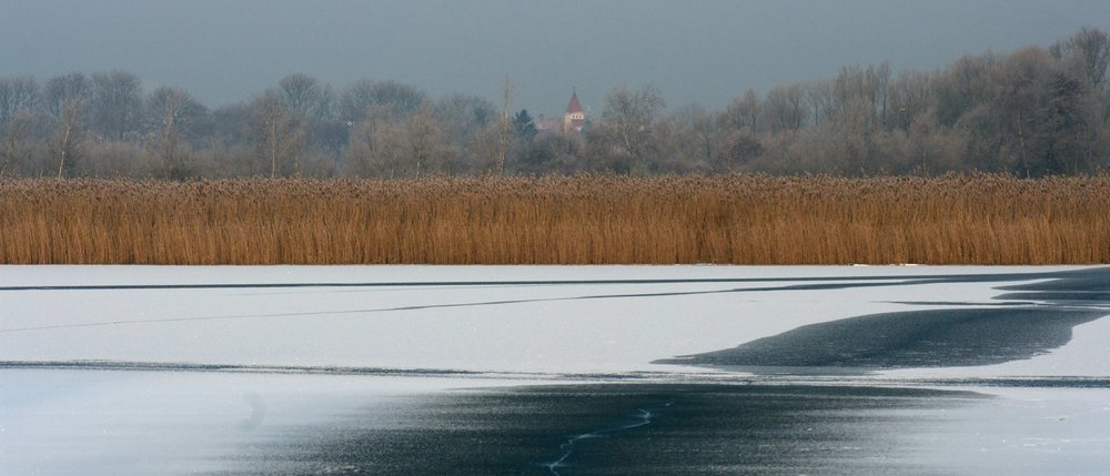 Winter scene.