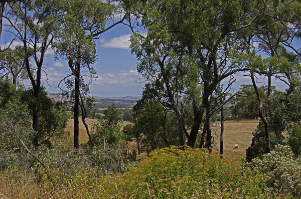 Australian summer