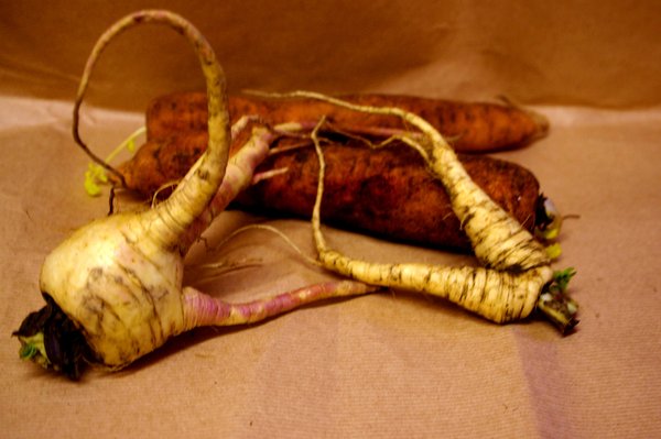 Carrots and parsnips.