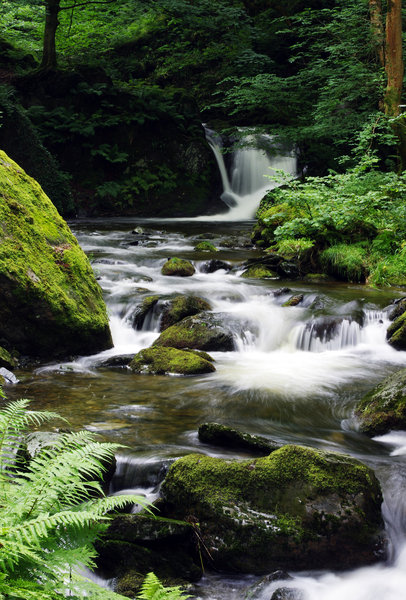 Dolgoch Falls, Aberganolwyn, Gwynedd, Wales.