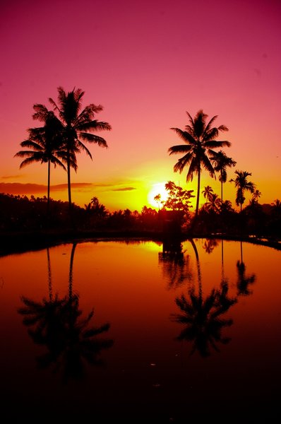 Dusk Reflections