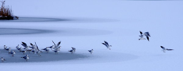 Frozen lake