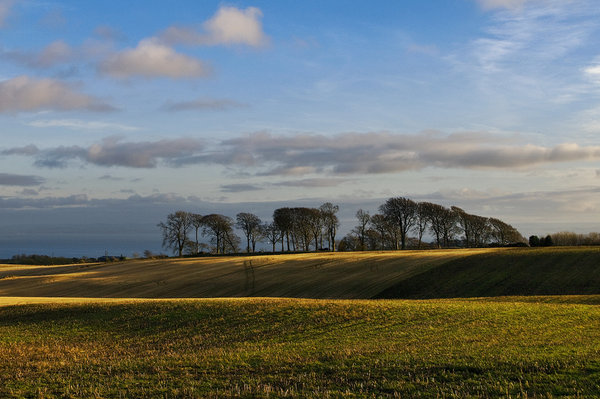 January Light