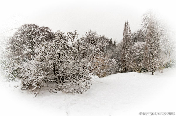 Let it snow...