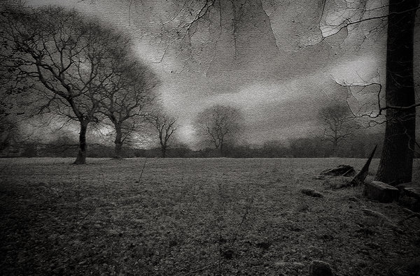 Misty View