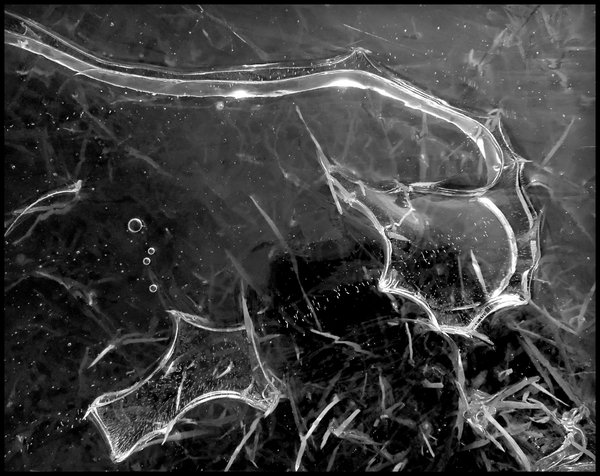 Patterns in the Ice