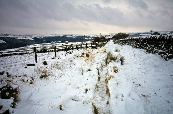 Pinnacle Lane Winter.