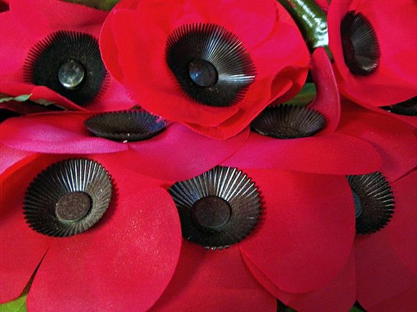 Poppies