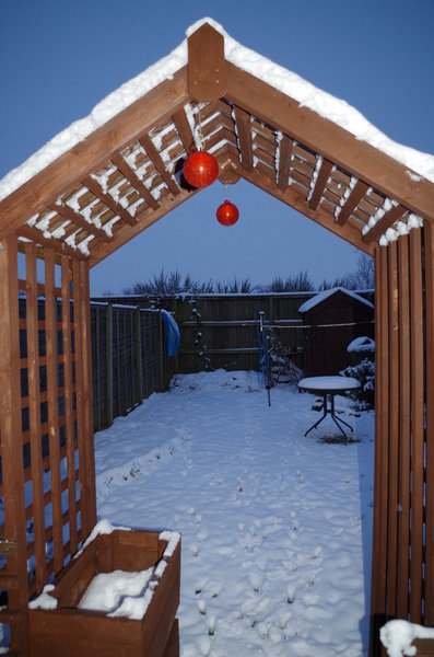 Snow garden