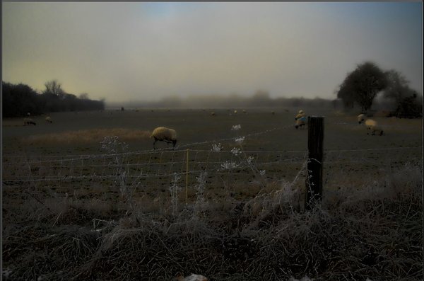Soft landscape