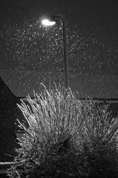 Street Light and Snow