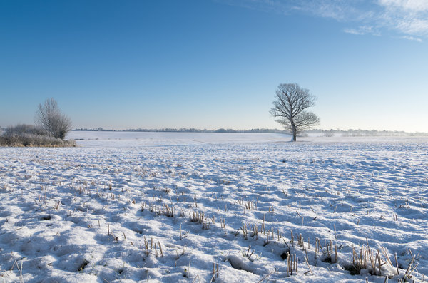 The beauty of white
