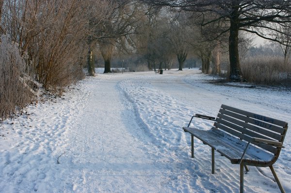 Utterslev Moor