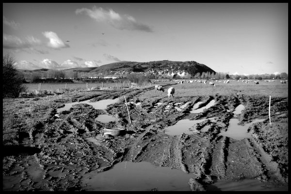 Winter Farmland