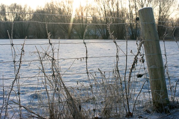 Winter scene 2