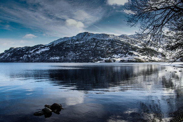 Winter Wonderland 1