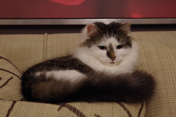 You woke me!!!