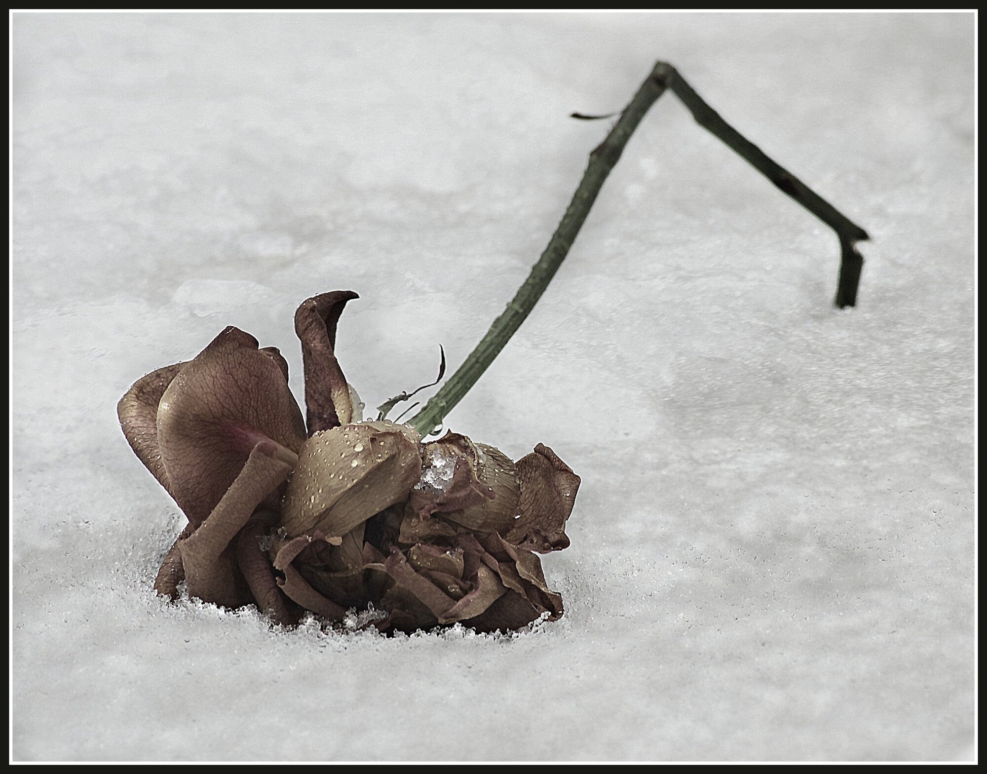 Discarded