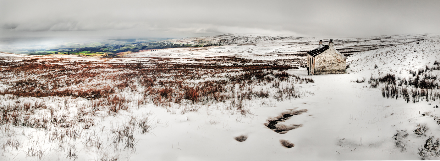 The Snow Line