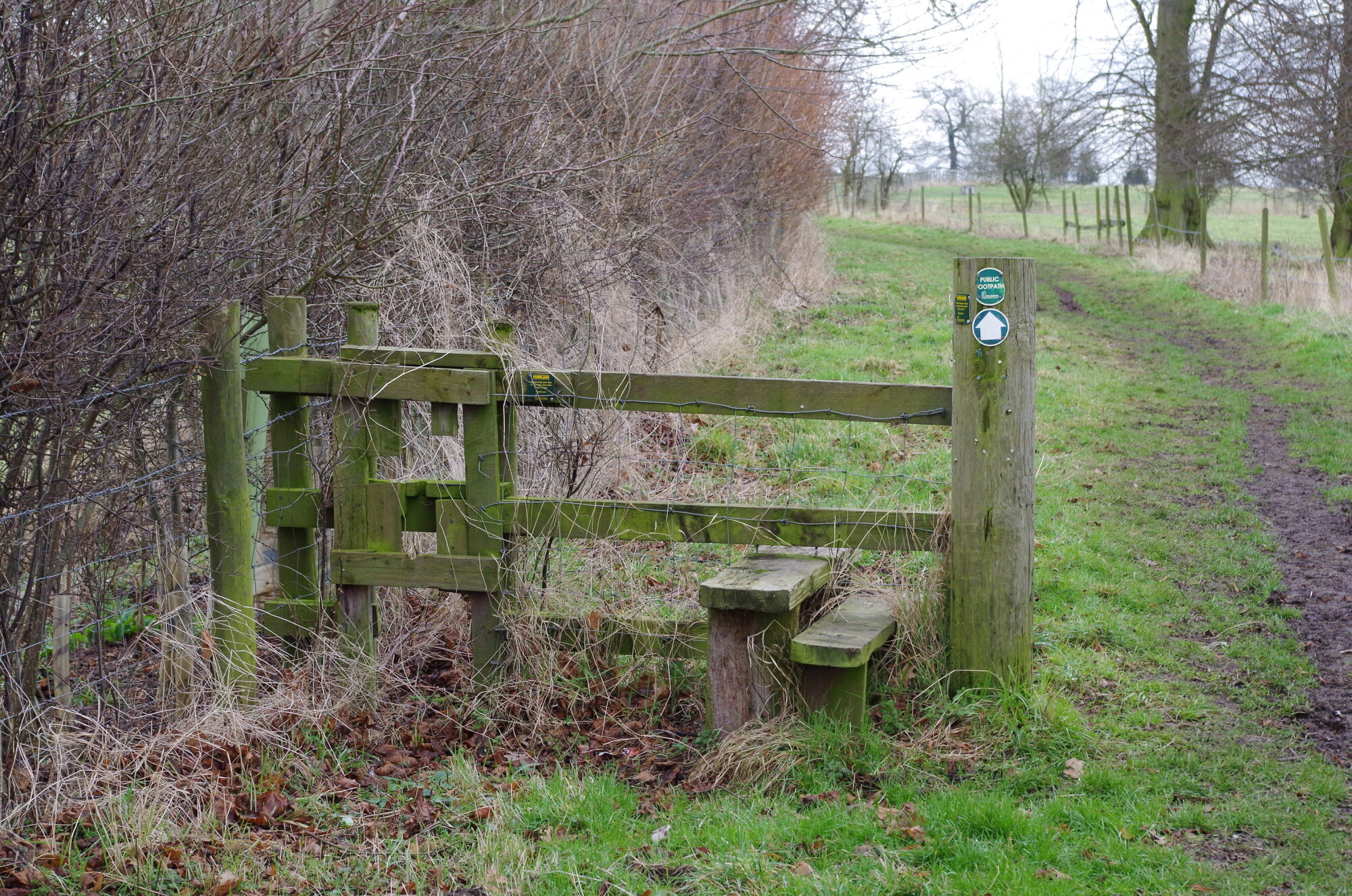 This way
