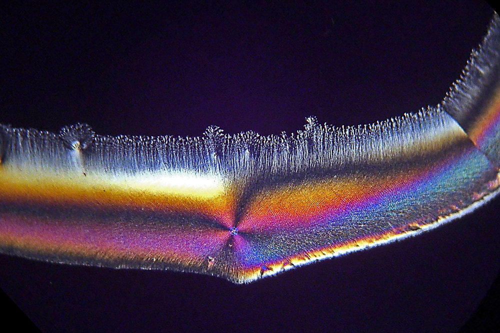 Ascorbic Acid Crystals In Cross-Polarised Light