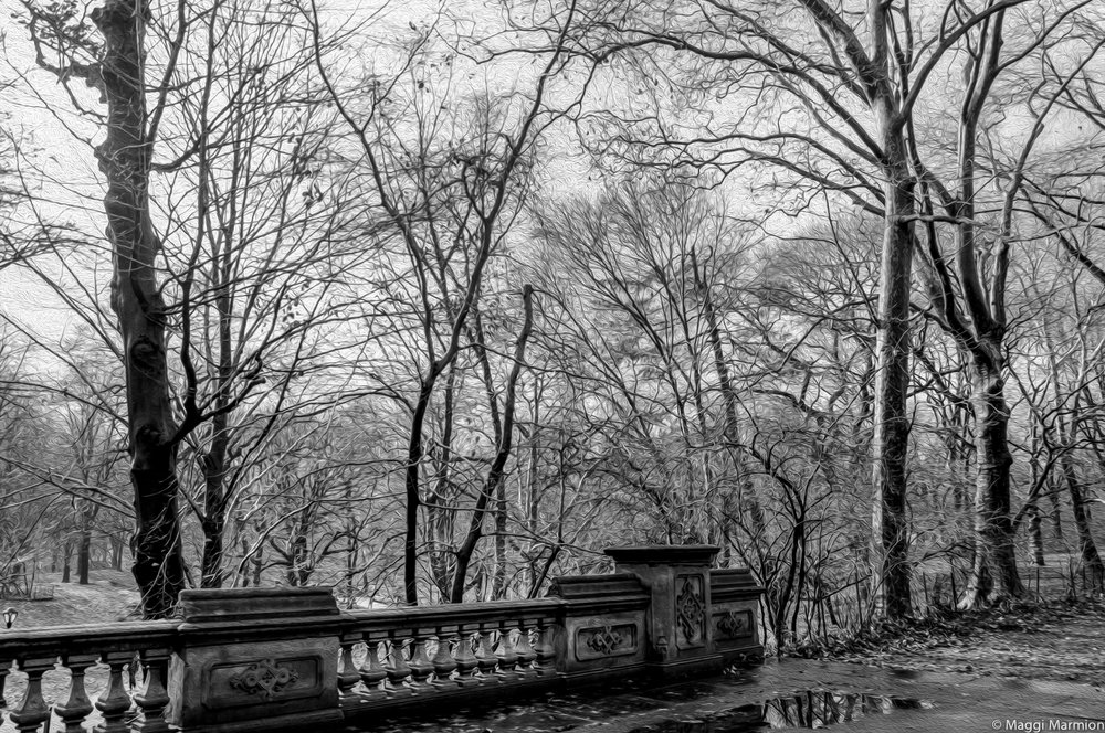 Central Park, New York
