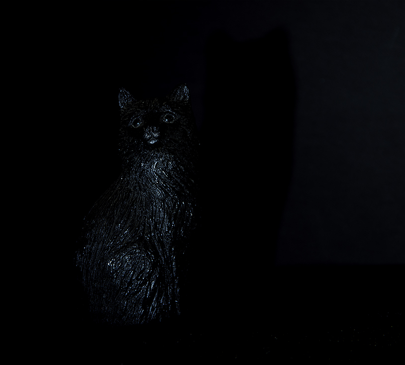 Coal Black Cat