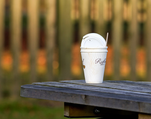 A Remnant of the Day