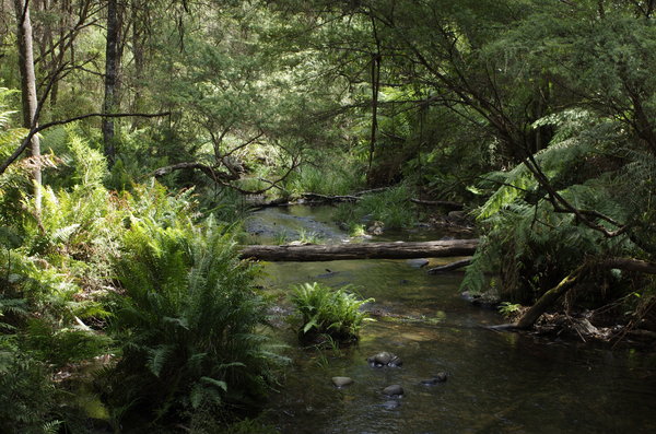 A shady spot on a hot day