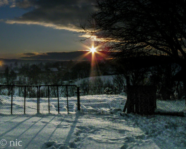backyard sunset!