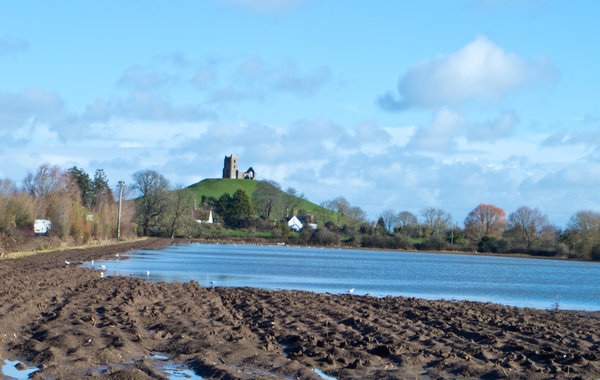 Burrow Mump