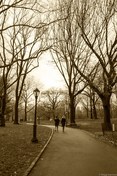 Central Park, New York