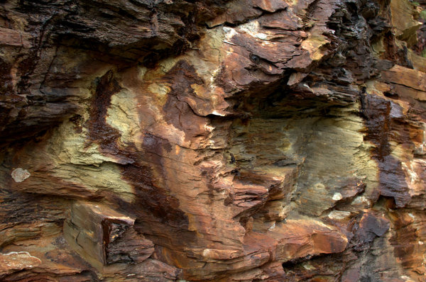 Cliff detail at Boscastle