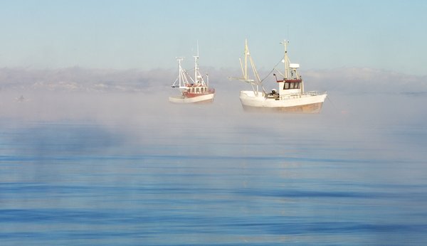 Fishing Boats in Frost Mist II
