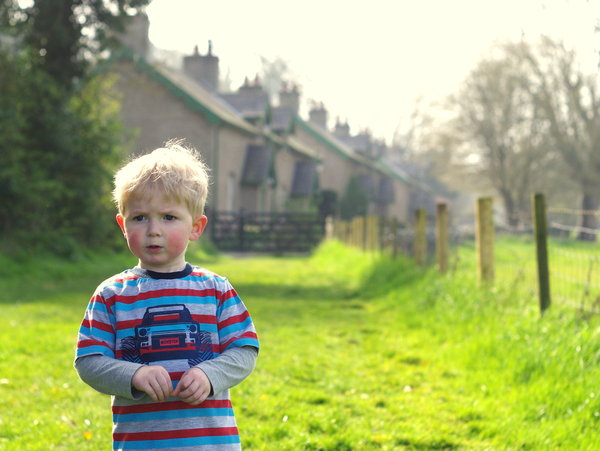 Henry, Castle Ward
