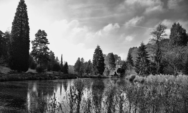 Lake view