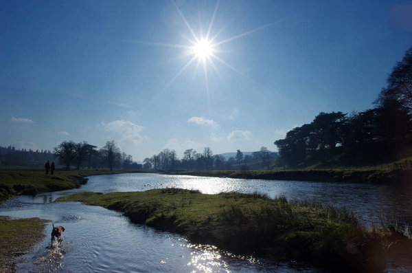 Late winter sunshine